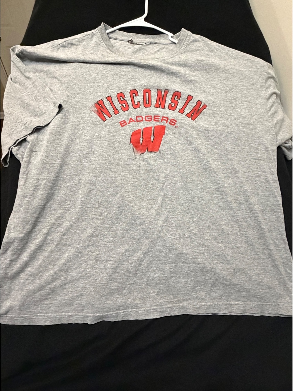 Wisconsin Badgers Gray T-Shirt with Logo Print